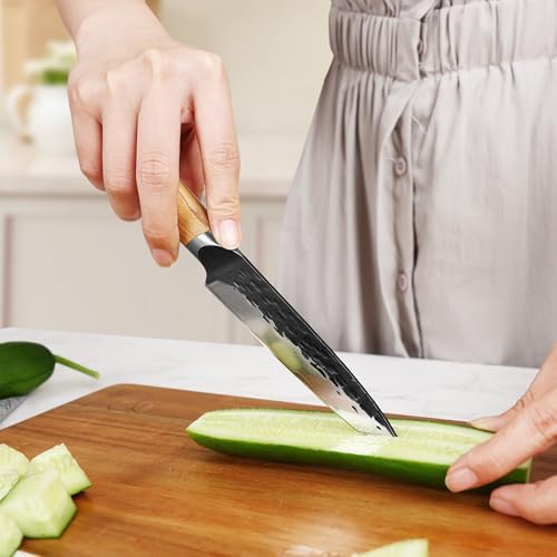 Vue 4 de Hecef Couteau Universel Damas