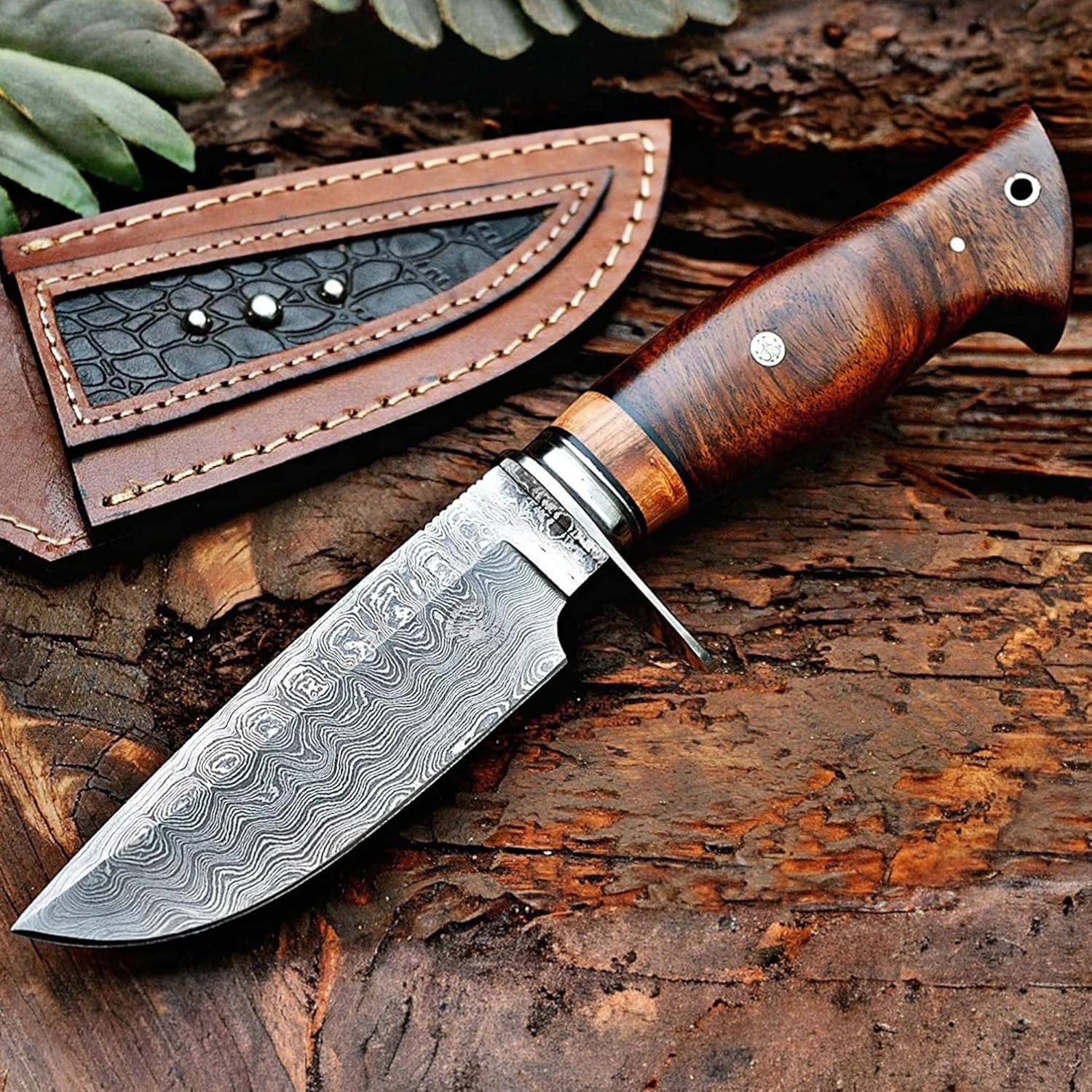 Bigcat Roar Wild Tiger