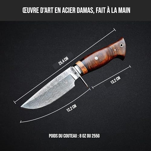 Vue 2 de Bigcat Roar Wild Tiger