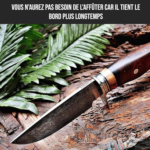 Vue 3 de Bigcat Roar Wild Tiger