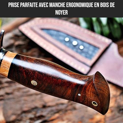 Vue 4 de Bigcat Roar Wild Tiger