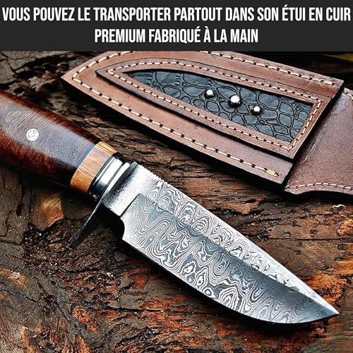 Vue 5 de Bigcat Roar Wild Tiger