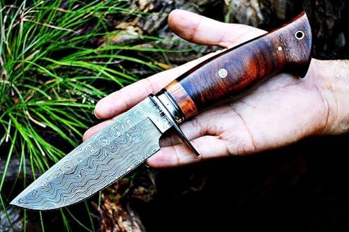 Vue 6 de Bigcat Roar Wild Tiger