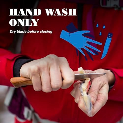 Vue 6 de Opinel Olivier Couteau