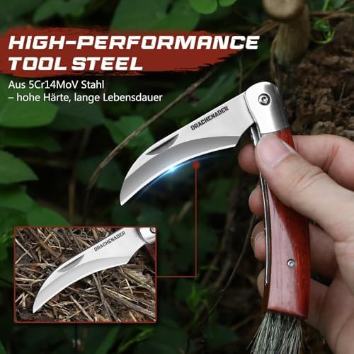 Vue 2 de Drachenader Couteau Champignon