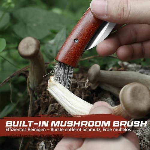 Vue 3 de Drachenader Couteau Champignon