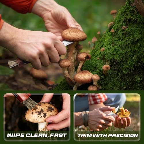 Vue 6 de Drachenader Couteau Champignon