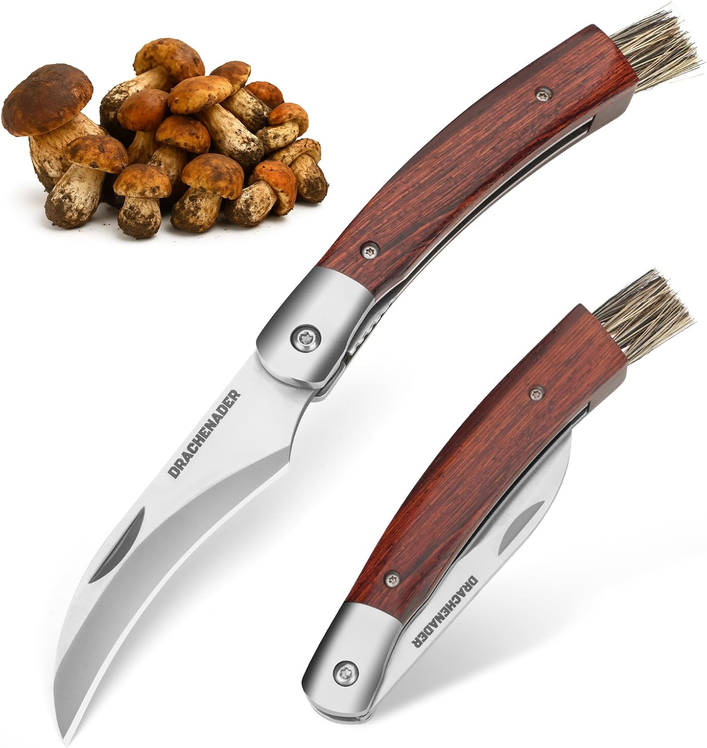 Drachenader Outil Champignons