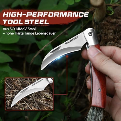 Vue 2 de Drachenader Outil Champignons