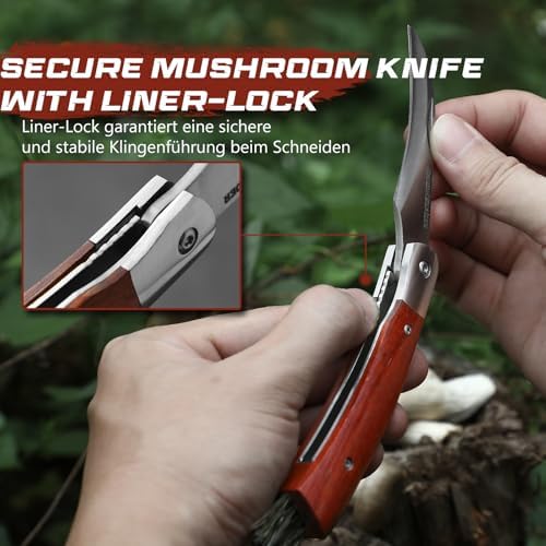 Vue 3 de Drachenader Outil Champignons