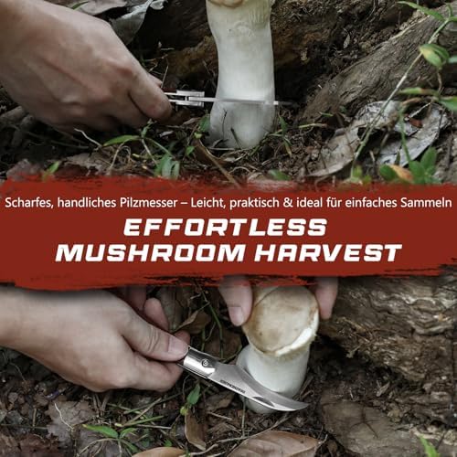 Vue 5 de Drachenader Outil Champignons