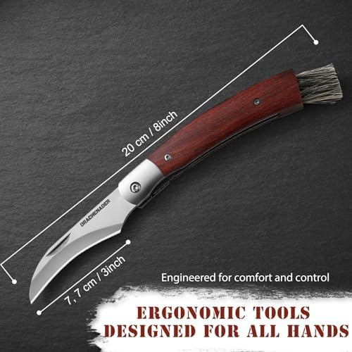 Vue 6 de Drachenader Outil Champignons