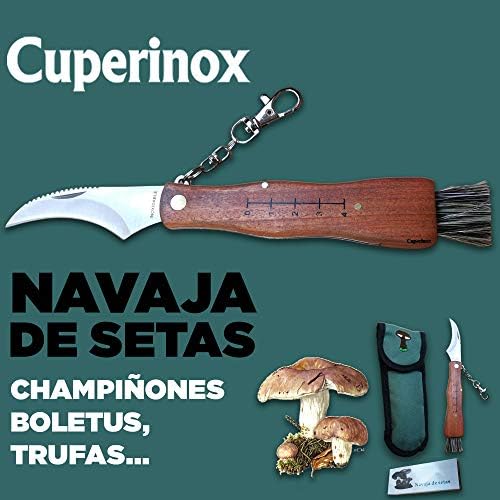 Vue 2 de Cuperinox Couteau Champignons