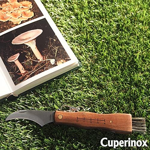 Vue 3 de Cuperinox Couteau Champignons