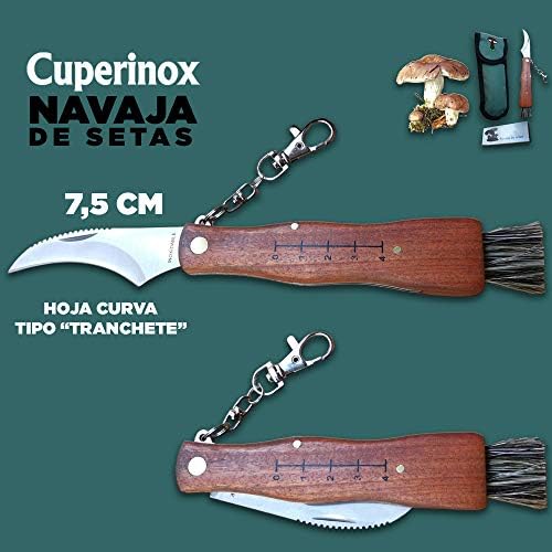 Vue 5 de Cuperinox Couteau Champignons