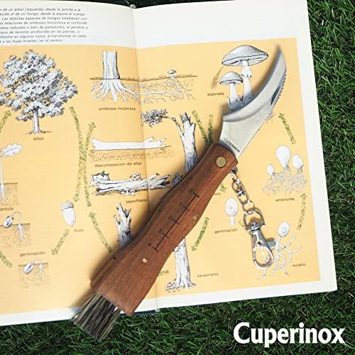 Vue 6 de Cuperinox Couteau Champignons