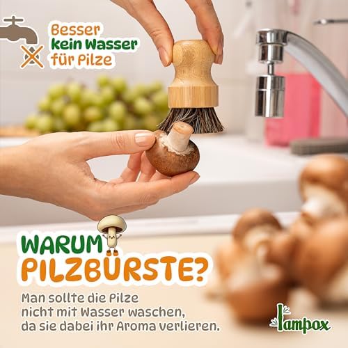 Vue 2 de Lampox Brosse Champignons