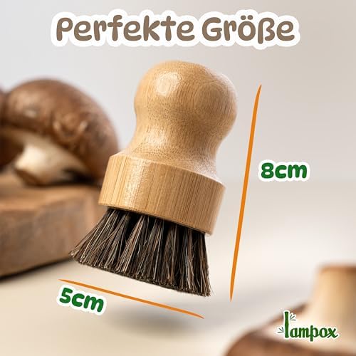Vue 3 de Lampox Brosse Champignons