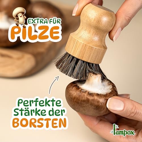 Vue 4 de Lampox Brosse Champignons