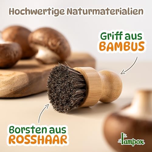 Vue 5 de Lampox Brosse Champignons