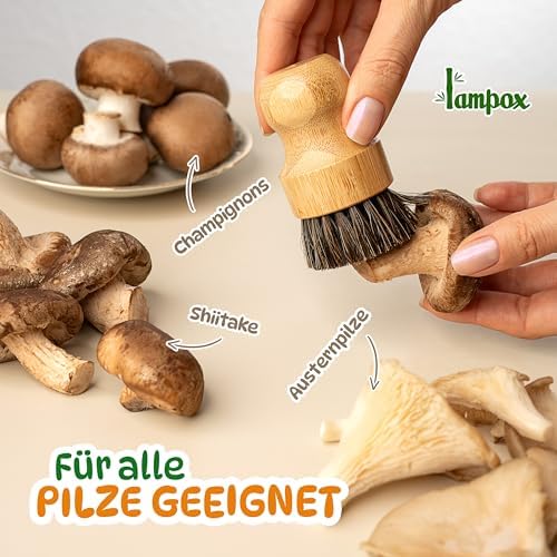 Vue 6 de Lampox Brosse Champignons