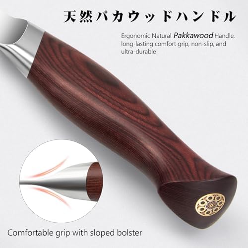 Vue 5 de Shan Zu Set De