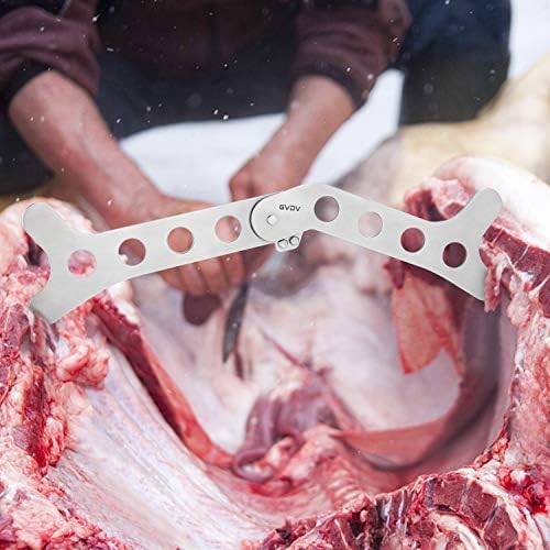 Vue 6 de Gvdv Couteau De Chasse