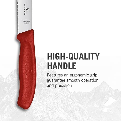 Vue 3 de Victorinox Swiss Classic Couteau
