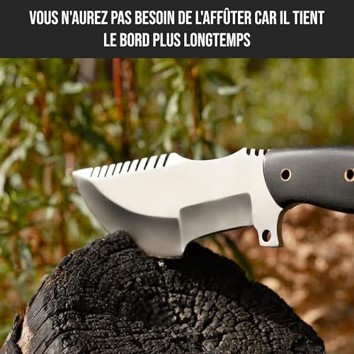 Vue 3 de Bigcat Roar Black Jaguar