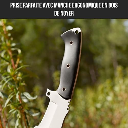 Vue 4 de Bigcat Roar Black Jaguar