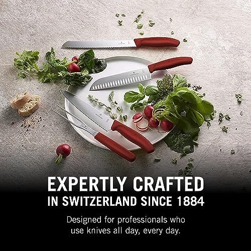 Vue 6 de Victorinox Swiss Classic Couteau