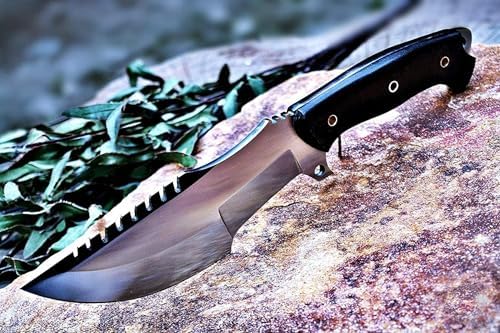 Vue 6 de Bigcat Roar Black Jaguar