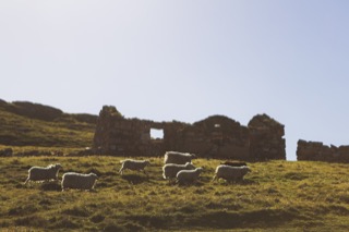 Croft house on South Ham, Muckle Roe