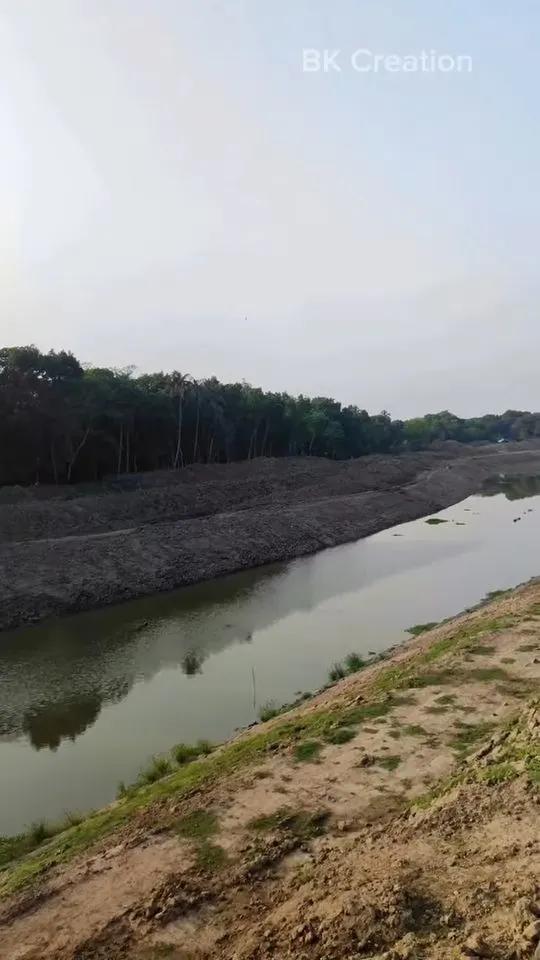 শ্রী শ্রী নারিকেলবাড়ীয়া মহাশ্মশান শিব মন্দির photo