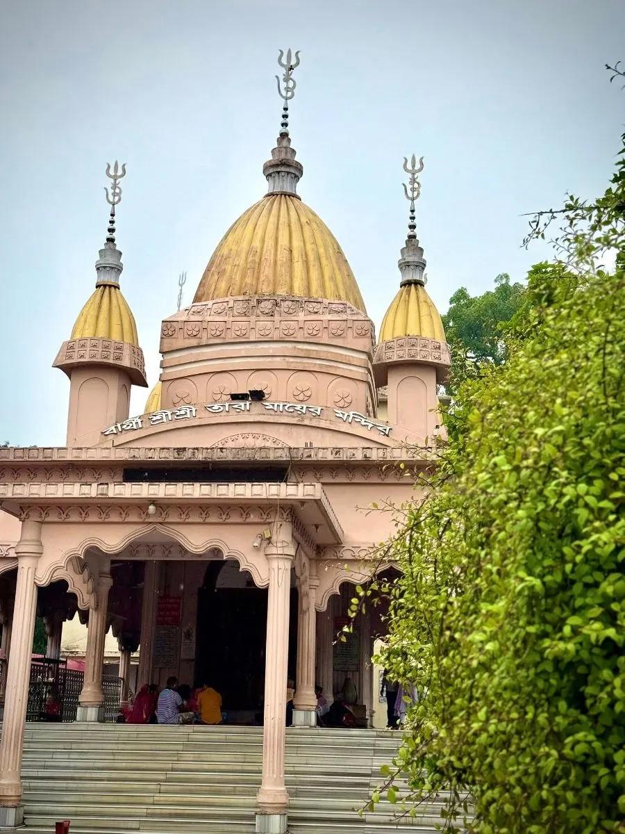 শ্রীশ্রী তারা মায়ের মন্দির (বার্থী কালীবাড়ি) - ছবি 7