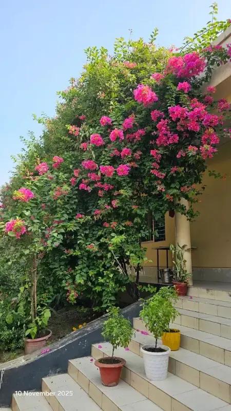 শ্রী শ্রী রাধারমণ মন্দির photo