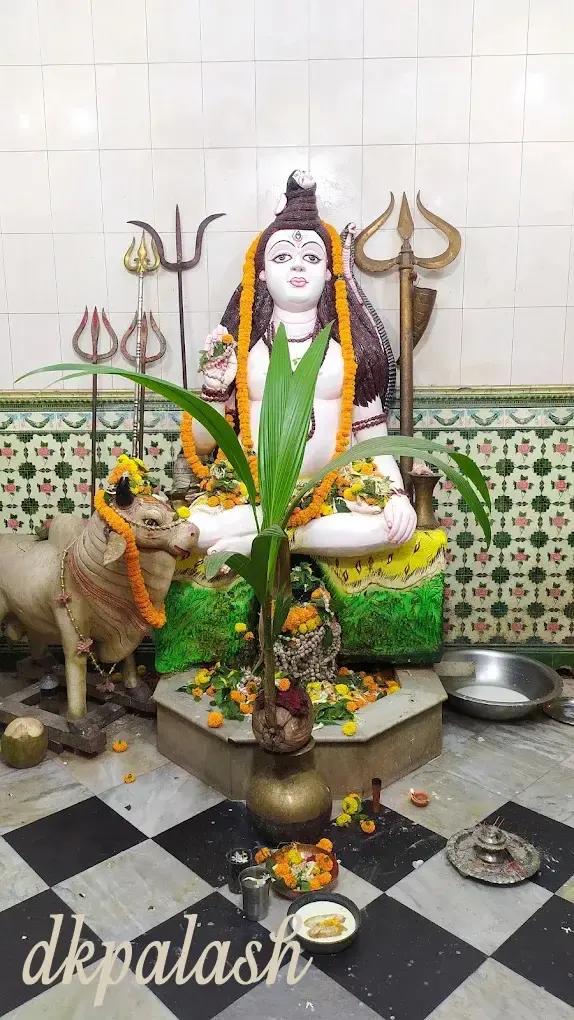 শ্রী শ্রী শিব মন্দির, দয়াগজ্ঞ - ছবি 1
