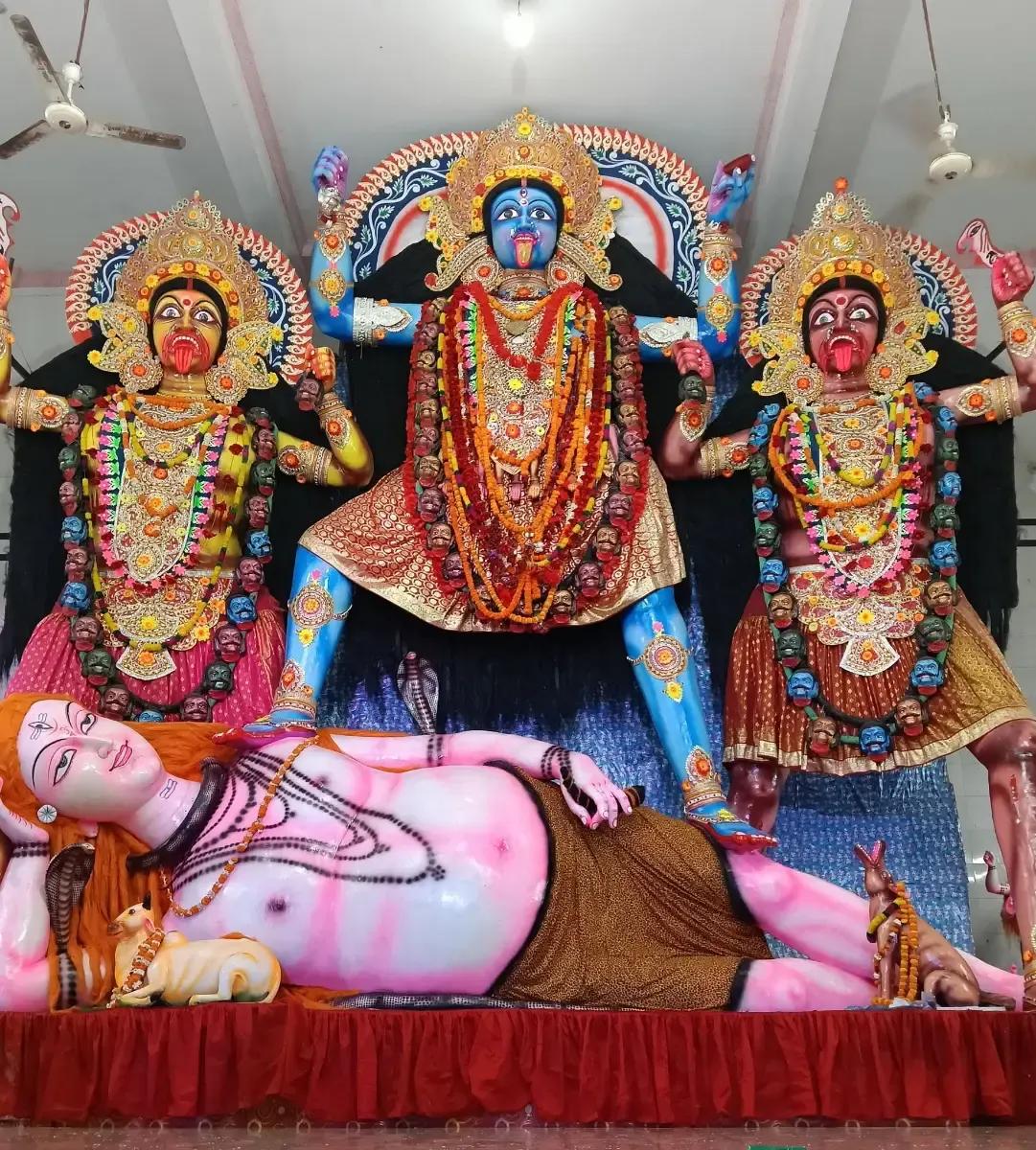 শ্রী শ্রী শ্মশান কালী মাতা মন্দির, ছাওয়ালী, মির্জাপুর, টাঙ্গাইল । - ছবি 1