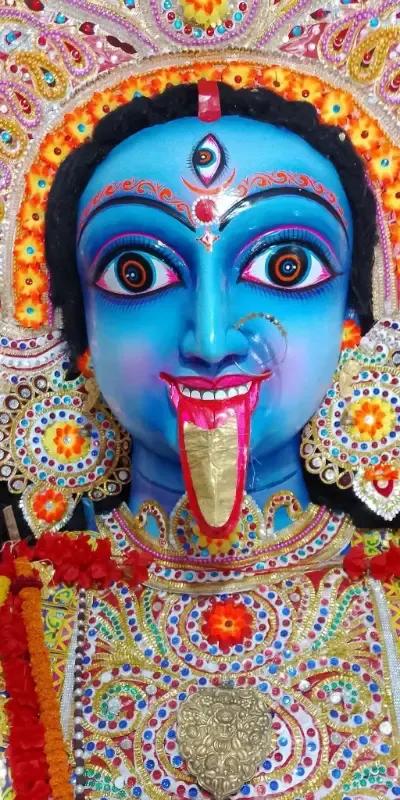 শ্রী শ্রী শ্মশান কালী মাতা মন্দির, ছাওয়ালী, মির্জাপুর, টাঙ্গাইল । - ছবি 13