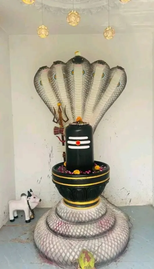 শ্রী শ্রী রাধা গোবিন্দ ও কালি মন্দির, পলাশবাড়ী - ছবি 9