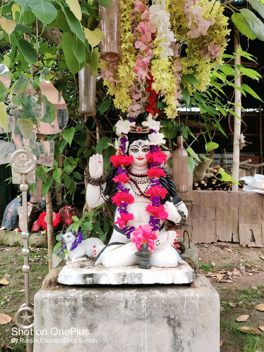 পার্বতীপুর কালী মন্দির - ছবি 14