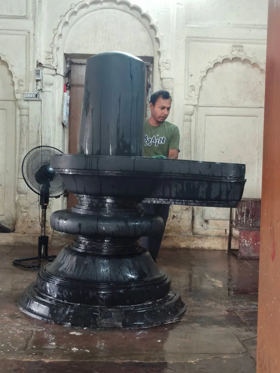 পুঠিয়া রাজবাড়ী মন্দির কমপ্লেক্স photo
