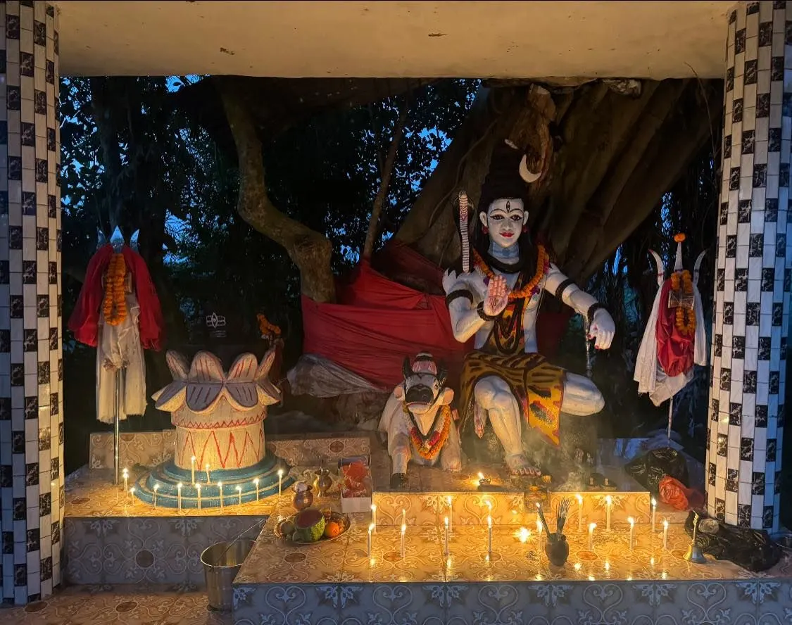 শ্রীমঙ্গল শংকর টিলা photo