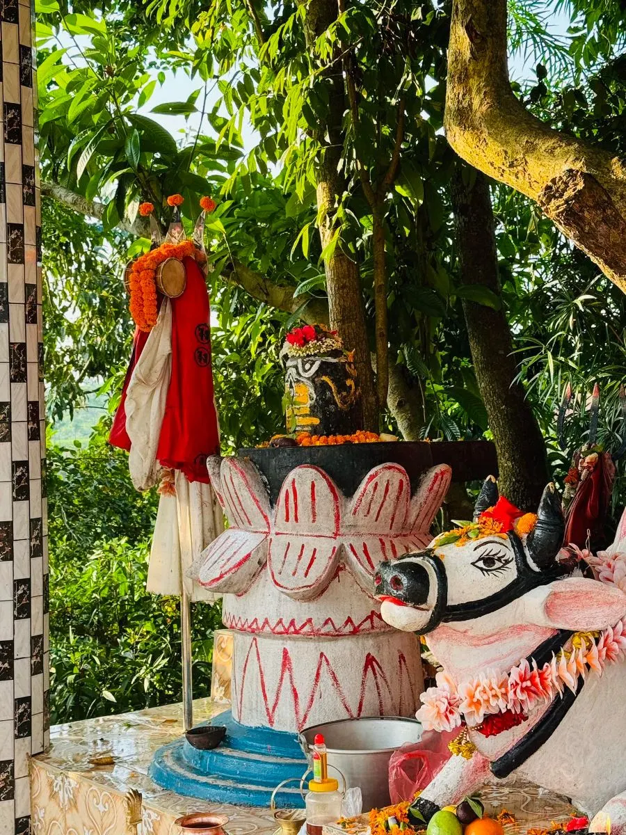 শ্রীমঙ্গল শংকর টিলা photo