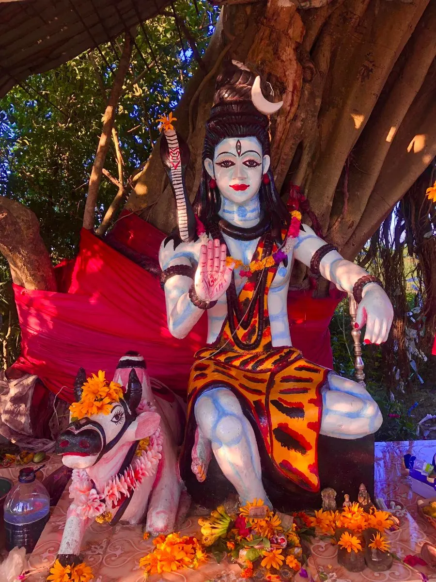 শ্রীমঙ্গল শংকর টিলা photo