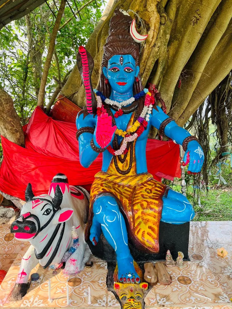 শ্রীমঙ্গল শংকর টিলা - ছবি 9