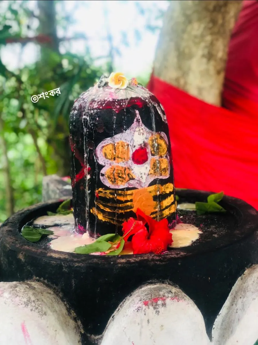শ্রীমঙ্গল শংকর টিলা - ছবি 10