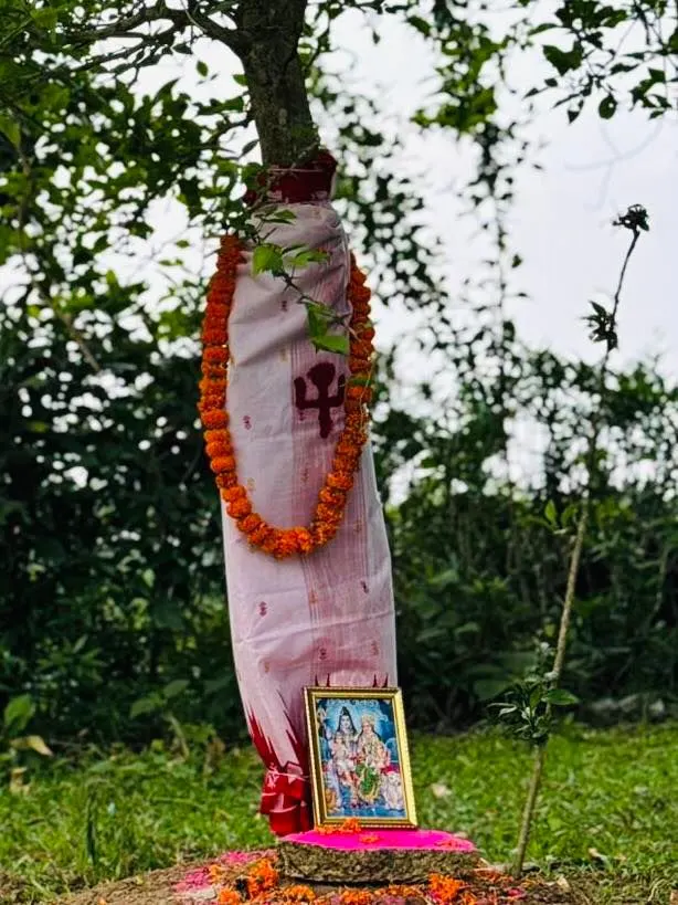 শ্রীমঙ্গল শংকর টিলা - ছবি 11