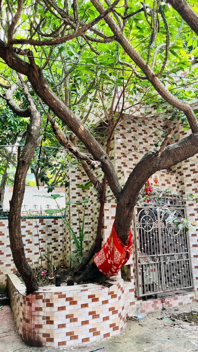 শ্রী শ্রী কালীতলা কালী মন্দির  photo