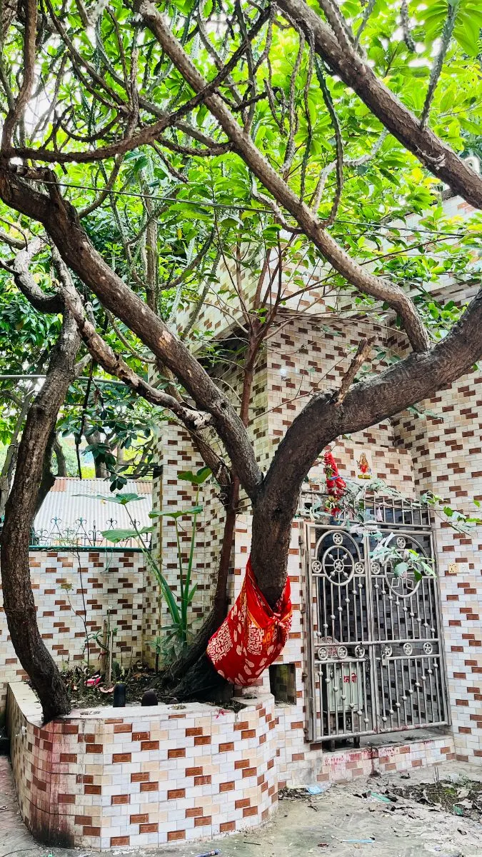 শ্রী শ্রী কালীতলা কালী মন্দির  - ছবি 10